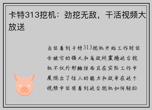 卡特313挖机：劲挖无敌，干活视频大放送