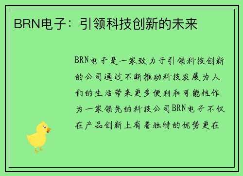 BRN电子：引领科技创新的未来